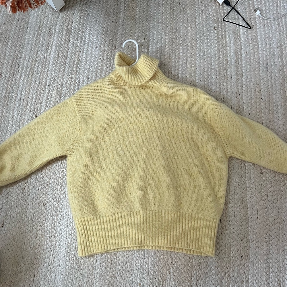 Zara turtleneck sweater! Barely worn!